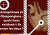 Otospongiose et acouphènes : quand une pathologie causale créé des symptômes acouphéniques.